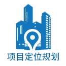 项目定位规划